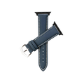 best blue apple watch strap for doctors