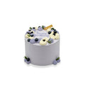 VaVa Designer Cakes Blueberry Velvet Bliss Cake – Elegant Minimalist Celebration