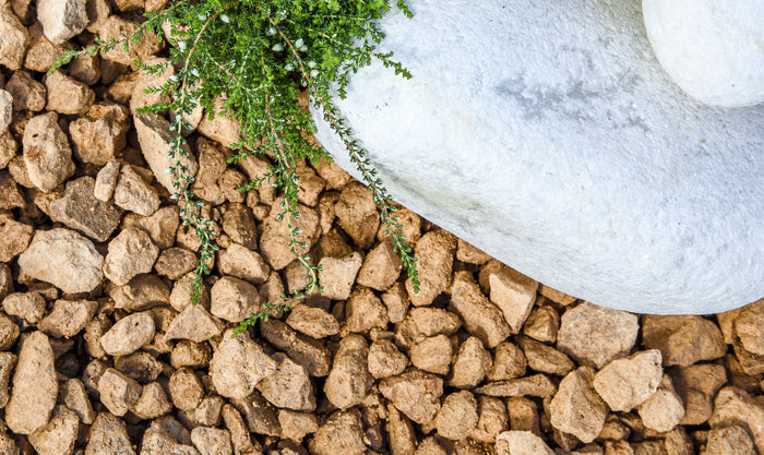 Gold gravel for gardening and landscaping