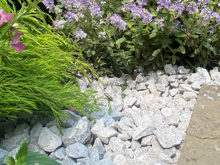 Garden border
