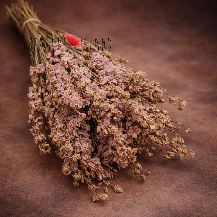 Dried delphinium bouquet in soft dusty pink tones styled on textured fine art background, delicate preserved flowers with natural beige stems, perfect floral prop for newborn photography and fine art setups