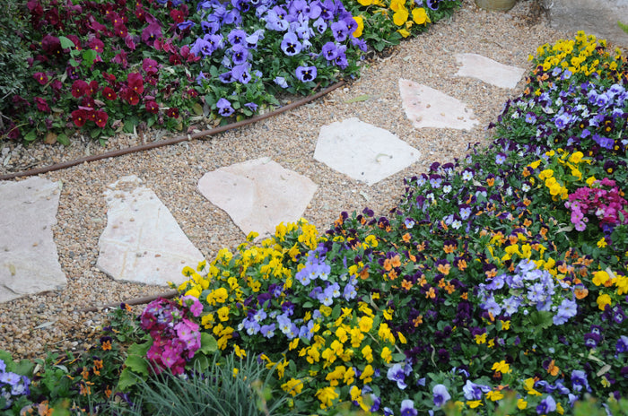 A gold gravel path with stepping stones and flower borders