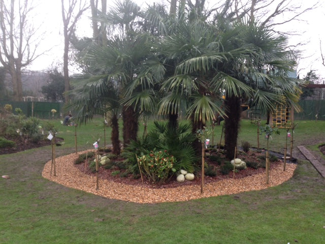 Gravel borders around trees