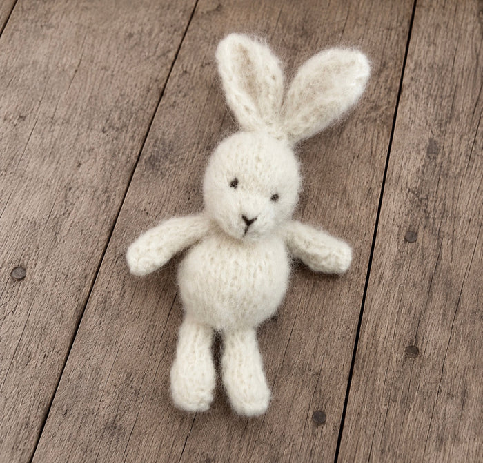 Knitted Teddy Bear & Bunny - Newborn Photo Props