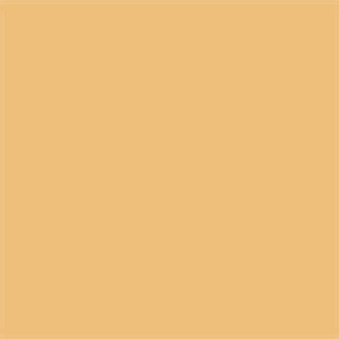 Lehmfarbe Trockenpulver Sonnenstein-Gelb-5 Goldgelb – Produktansicht