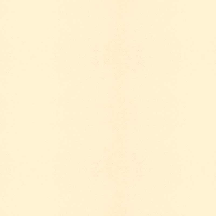Lehmstreichputz Sonnenstein-Gelb-1 Cremegelb – Produktansicht