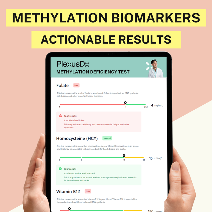 PlexusDx Methylation Panel results dashboard showing personalized methylation pathway insights