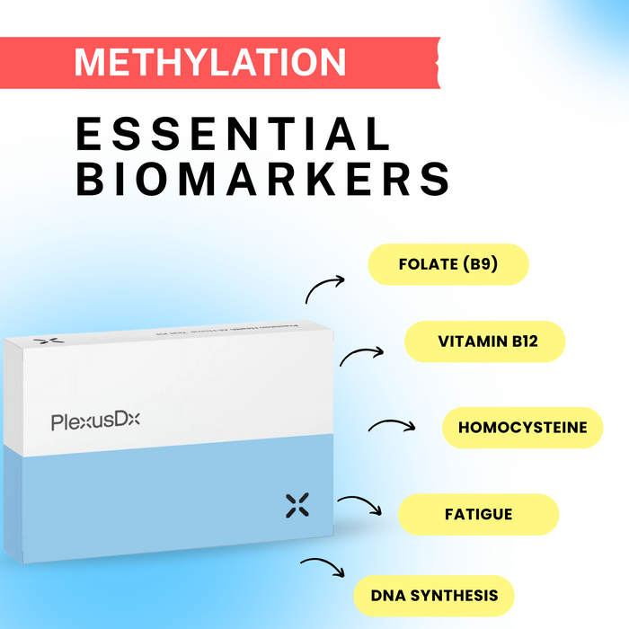 PlexusDx Methylation Panel blood test biomarker panel with methylation pathway analysis