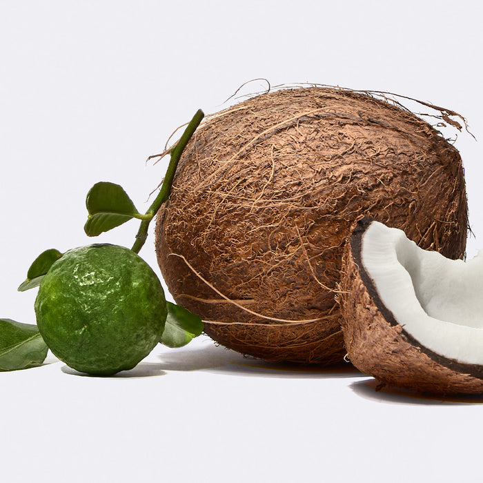 Smoothing Shave Scrub's scent notes of coconut and bergamot on a white background.