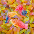 Photo bonbon rainbow sea
