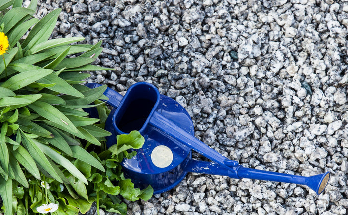 A blue watering can and a plant surrounded by stunning silver granite gravel