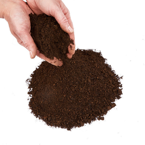 Hands cupping vegetable topsoil