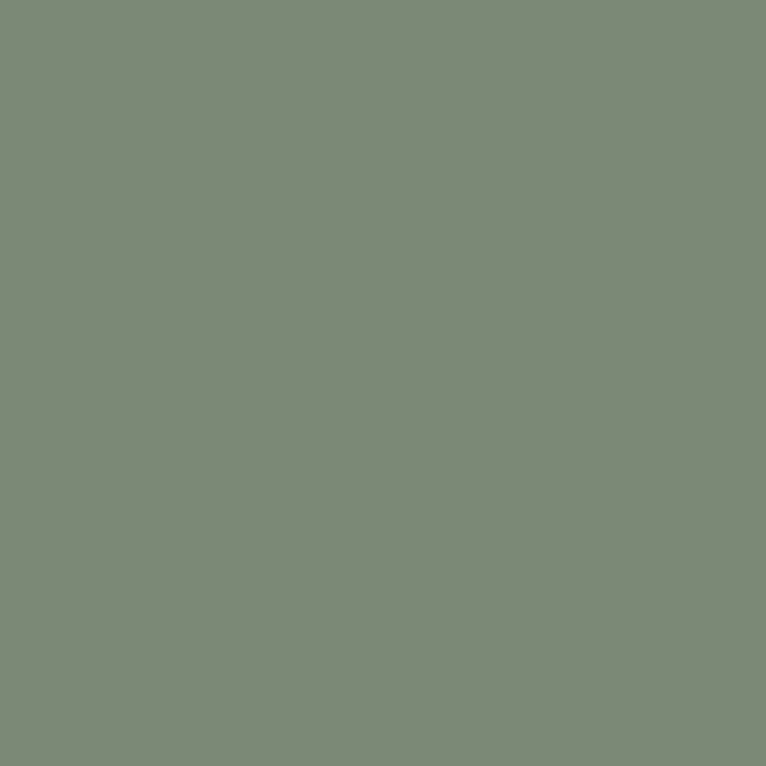 VOLVOX Espressivo Lehmfarbe - (109) birdwatchers green – Produktansicht
