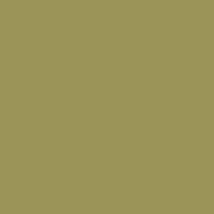VOLVOX Espressivo Lehmfarbe - (308) olive – Produktansicht
